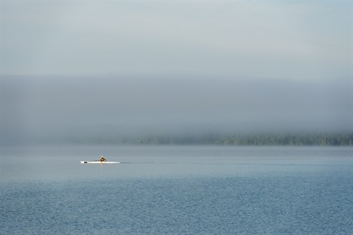 Solo Row - Mike Toy