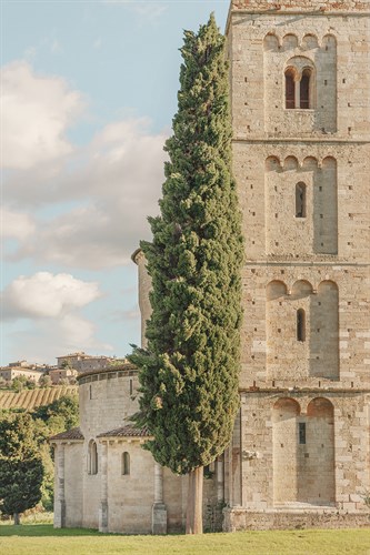 Tall and Grand - Irene Suchocki