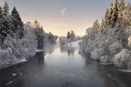 Moon Dreamland - Andreas Stridsberg