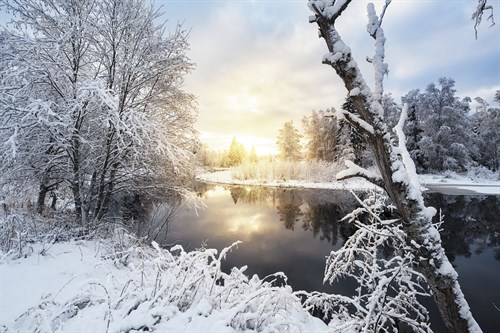 Ethereal Snow - Andreas Stridsberg