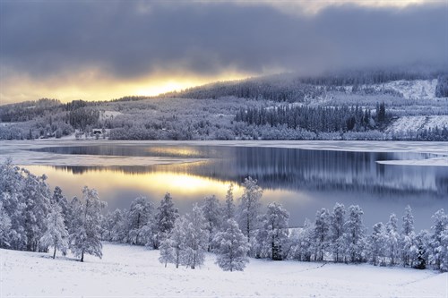 Winter Wonderland - Andreas Stridsberg