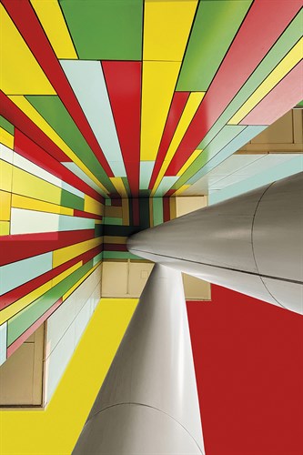 Vibrant Ceiling - Ash Camas