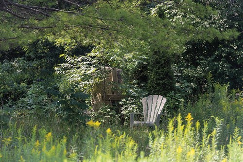 Wild Seating - Mike Toy