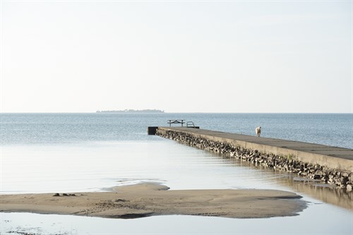 Jetty Adventure - Mike Toy