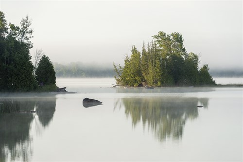 Middle Island - Mike Toy