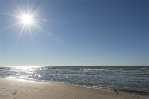 Bright Sun - Tide - Mike Toy