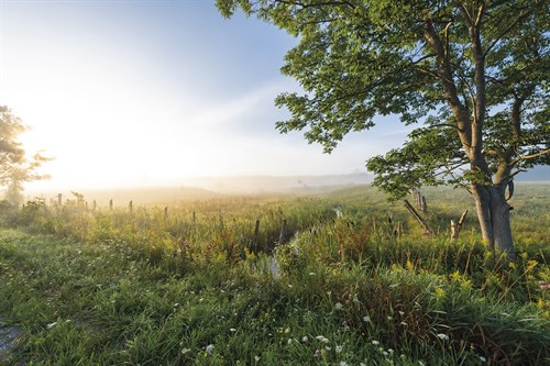 Country Opulence - View - Mike Toy