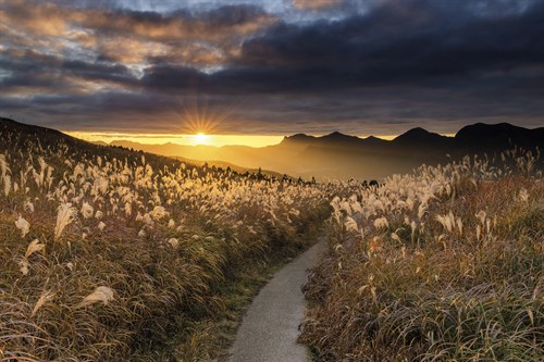 Sunset Pathway - Tom Mackie