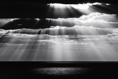 Morning Symphony - Tal Paz-Fridman