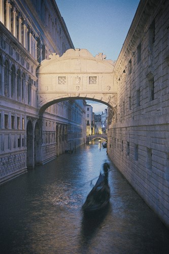 Venice Spotlight - Jon Arnold