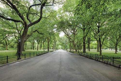 Quiet Parkway - Jakob Dahlin