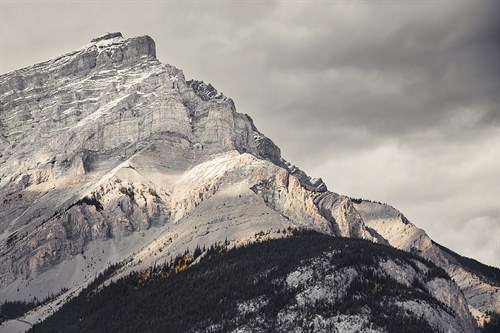 Bold Pinnacle - Irene Suchocki