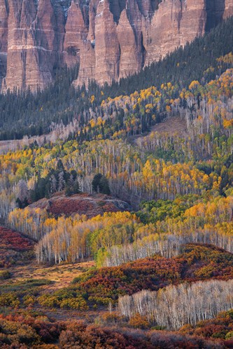 Wilderness Fall - Joe Cornish