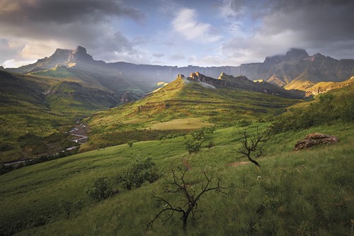 Early Morning - Joe Cornish
