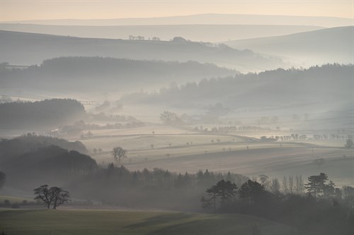 Delicate Mist - Joe Cornish