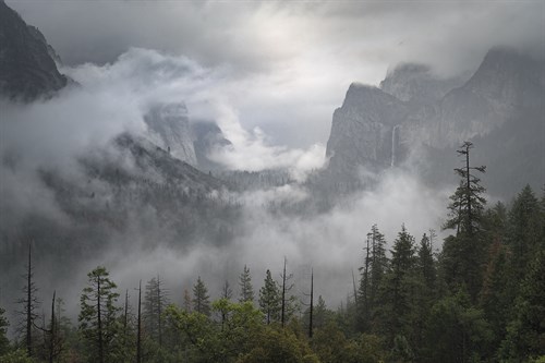 Mist Covered - Joe Cornish