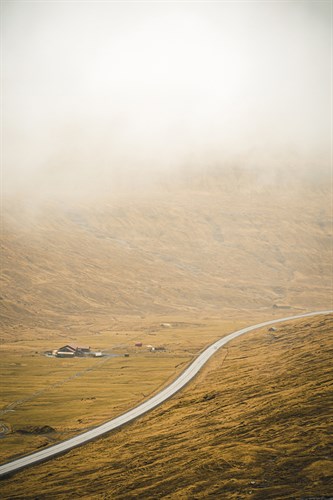 Organic Path - Florian Schleinig