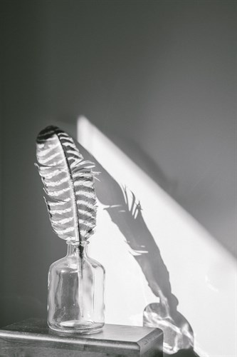 Minimal Noir - Reflect - Sarah Hart Morgan