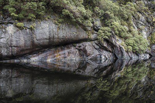 Nature Mirrored - Nathan Secker