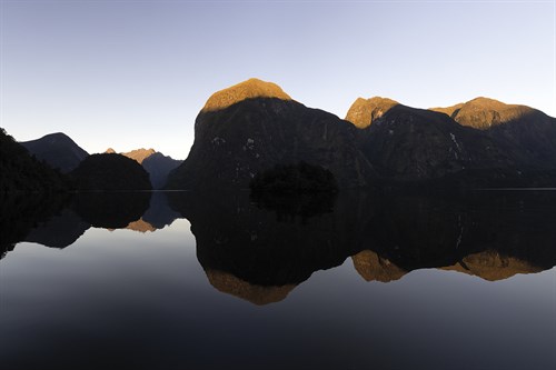 Bold Vision - Strong - Nathan Secker