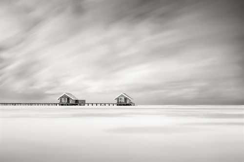 Two of a Kind - Anthony Lamb