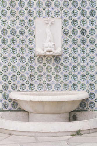 Fountain Focus - Adorn - Carina Okula