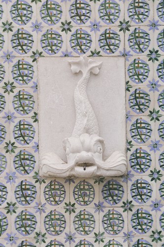 Fountain Focus - Fish - Carina Okula