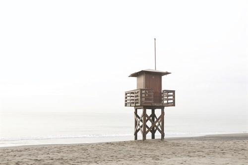 High Perch - Carina Okula