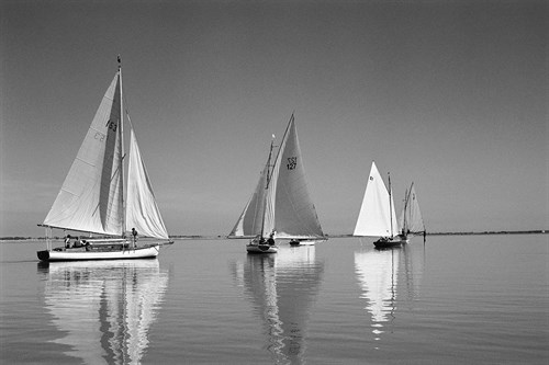 Calm Coasting - Ben Wood