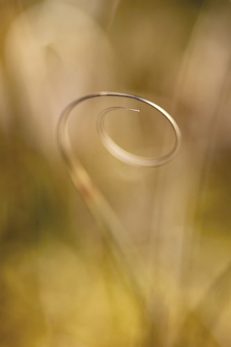 So Perfect - Stig Kälvelid