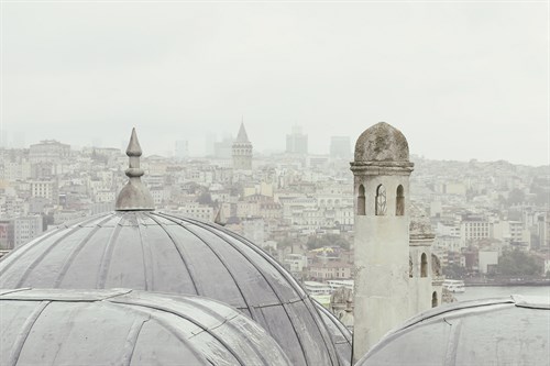 Rooftop Vista - Carina Okula