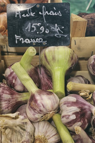 Market Focus - Bulb - Carina Okula