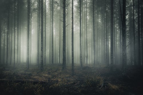 Ethereal Surround - Andreas Stridsberg