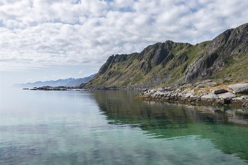 Summer Coast - Andreas Stridsberg