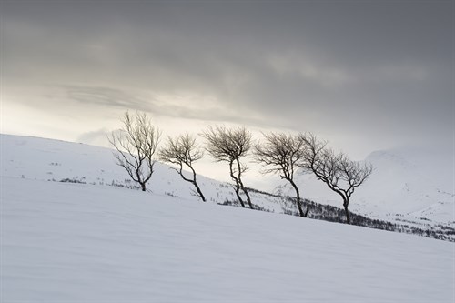 Frozen Hills - Andreas Stridsberg