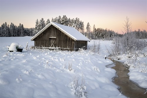 Frozen Shelter - Andreas Stridsberg