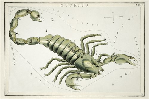 Astrology - Scorpio - Sidney Hall
