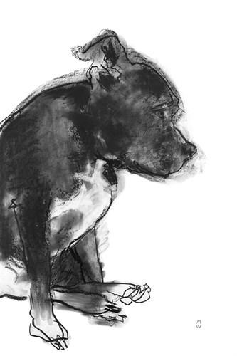 Sketch in Motion - Break - Manny Woodard