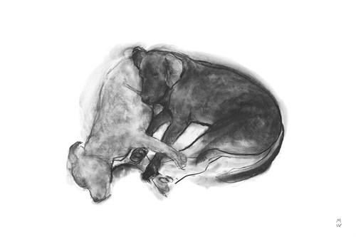 Sketch in Motion - Nap - Manny Woodard