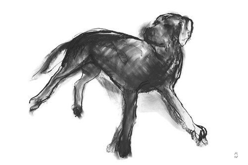 Sketch in Motion - Stretch - Manny Woodard