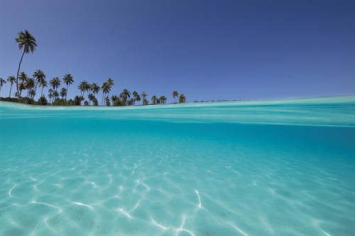 Surreal Ocean - Reflect - Nathan Secker