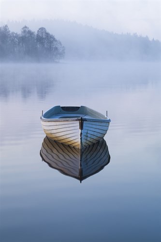Quiet Morning - Andrew  McKay