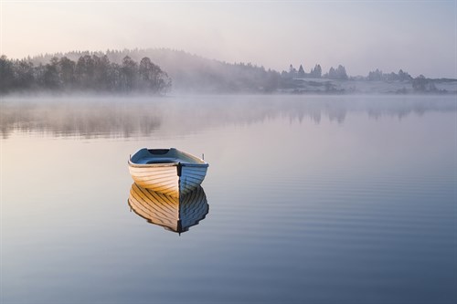 Dawn Light - Andrew  McKay