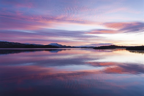 Pink Dawn - Andrew  McKay