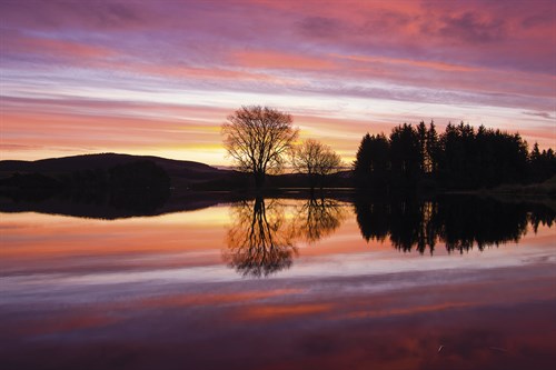 Liquid Sunrise - Andrew  McKay