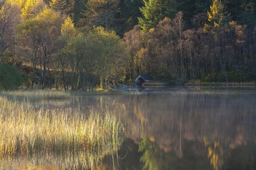 Autumn Light - Andrew  McKay
