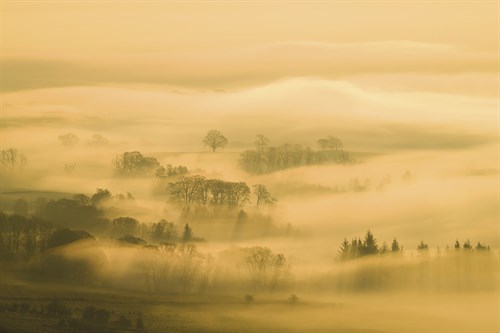 Dawn Mist - Andrew  McKay