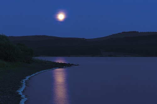 Blue Moonrise - Andrew  McKay