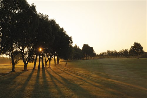 Sunlit Silhouette - Andrew  McKay