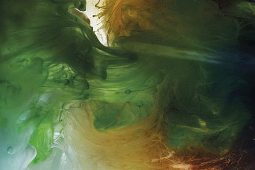 Organic Rave - Express - Andreas Stridsberg